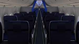 iFly 737 MAX 8 All Nippon Airways thumbnail 5