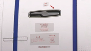 iFly 737 MAX 8 All Nippon Airways thumbnail 6