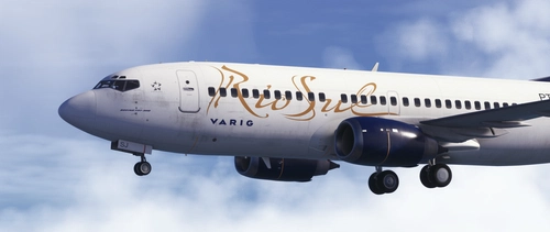 CSS 737-300 | Rio Sul PP-SSJ