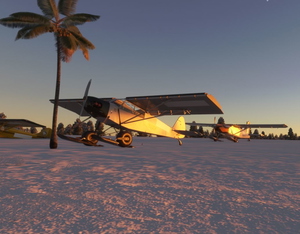 Cripple Airstrip (PXCR) thumbnail 7