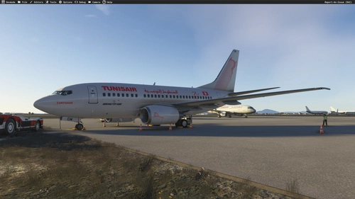 Tunisair TS-IOM 70years stickers livery PMDG 737-600 MSFS2024 (with cabin)