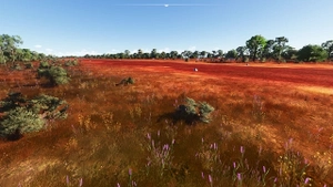 Northern Territory Missing Airfields thumbnail 22