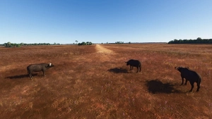 Northern Territory Missing Airfields thumbnail 40