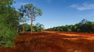 Northern Territory Missing Airfields thumbnail 43