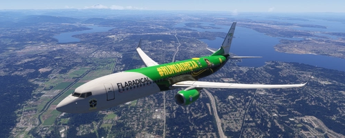 FLARADICAL VA Brazil Edition | PMDG 737-800