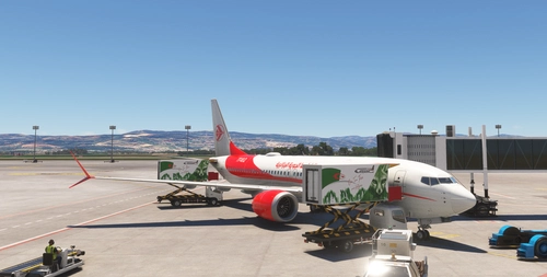 Air Algerie B737 Max