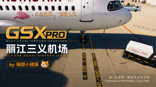GSX PRO Profile for ZPLJ