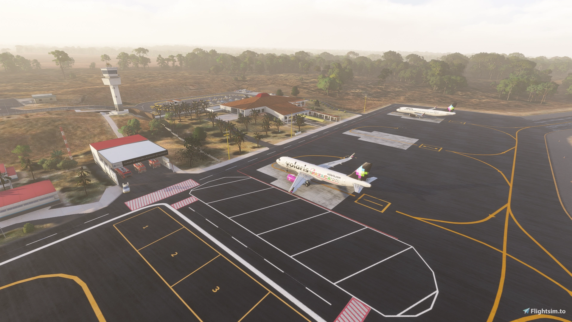 Colima Airport Apron