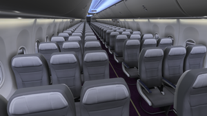 Arajet | w/Cabin | iFly 737 MAX 8 thumbnail 12