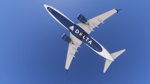 PMDG 737-800 /w cabin Delta Air Lines complete fleet (regular +  World Champions + Skyteam) thumbnail 4