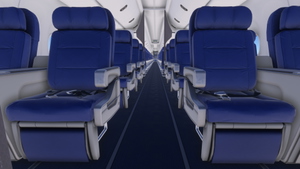PMDG 737-800 /w cabin Delta Air Lines complete fleet (regular +  World Champions + Skyteam) thumbnail 11