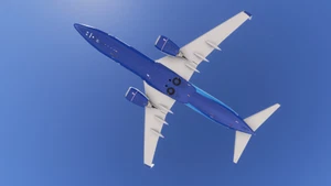 PMDG 737-800 Boeing Dreamliner House (N738BX) thumbnail 4