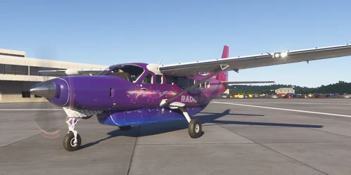 Sky Blue Radio Livery Cessna 208