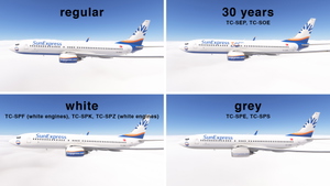 PMDG 737-800 w/ cabin SunExpress complete regular fleet thumbnail 7