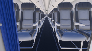 PMDG 737-800 w/ cabin SunExpress complete regular fleet thumbnail 11