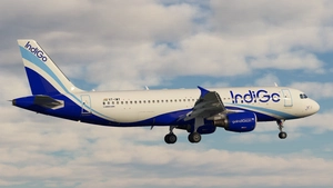 Indigo A320ceo Fleet Pack [With Cabin] - WF  || Fenix V2 thumbnail 4