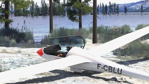 F-CBLU livery for the glider Discus-2c from Got Friends
