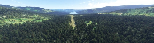 Idaho-ID29- Big Island (cleanup/fix)