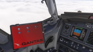 PMDG 737-800 w/ cabin Qantas Fleet Part 1 thumbnail 8