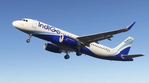 IndiGo a320ceo Sharklets Livery Pack || Fenix a320 thumbnail 6