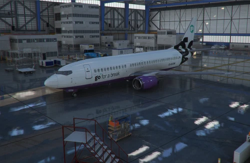 GO FLY  | CSS B737-300