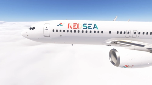 PMDG 737-800 w/ cabin Red Sea Airlines (SU-RSA & SU-RSB)