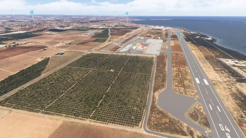 San Javier Tree Fix