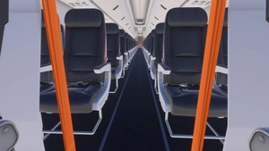 PMDG 737-800 /w cabin Sun Country Airlines fleet (regular + retro + Minnesota Athletics special) thumbnail 12