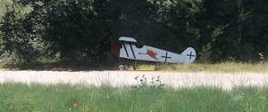 NY94 Old Rhinebeck thumbnail 29