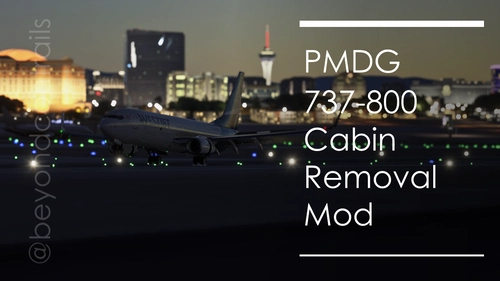 PMDG 737-800 Cabin Removal Mod (MSFS 2024 Only)