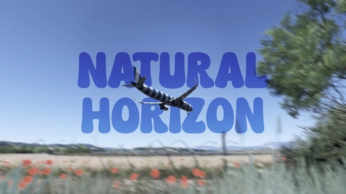 Natural Horizon ReShade - true to life ReShade for MSFS 2020/2024