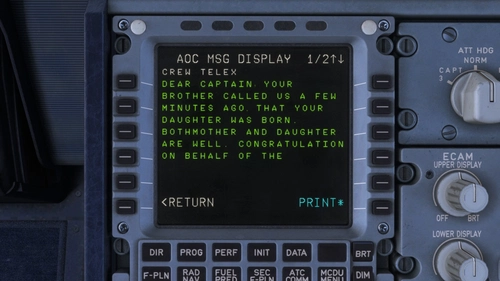 Fenix Custom ACARS Messages | by RushOps