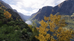 Norway Forest thumbnail 1