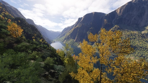 Norway Forest