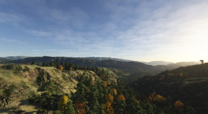 Norway Forest thumbnail 2
