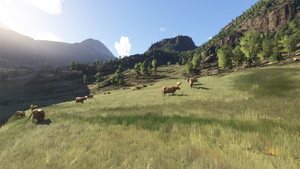 Norway Forest thumbnail 4