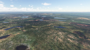 Norway Forest thumbnail 8