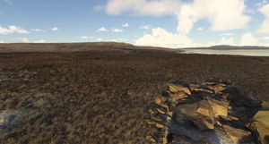 Norway Forest thumbnail 13