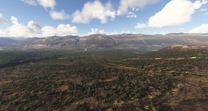 Norway Forest thumbnail 14