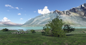 Norway Forest thumbnail 16