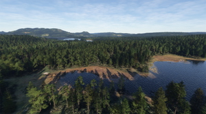 Norway Forest thumbnail 18