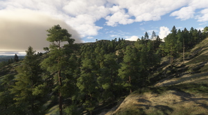Norway Forest thumbnail 19