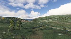 Norway Forest thumbnail 20