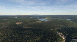 Norway Forest thumbnail 21