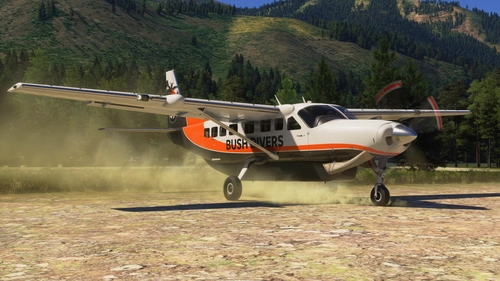 Bush Divers VA | Cessna 208B Grand Caravan (Asobo)