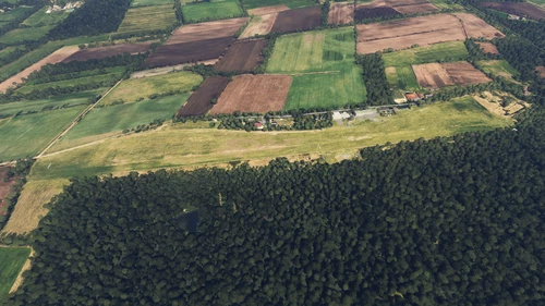 Ehlershausen / EDDQ Treefix