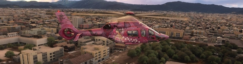 HPG H160 Blossom in the Wind (Hanami No Kaze)