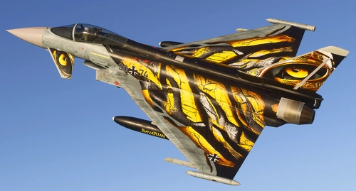 IFE EF2000/Typhoon - TaktLWG74 31+74 (Castle Tiger) - 8K