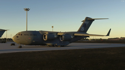Delta Sim C17 - RAF ZZ177 25th Anniversary Tail