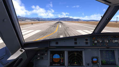 Fenix A32x immersive pilot view